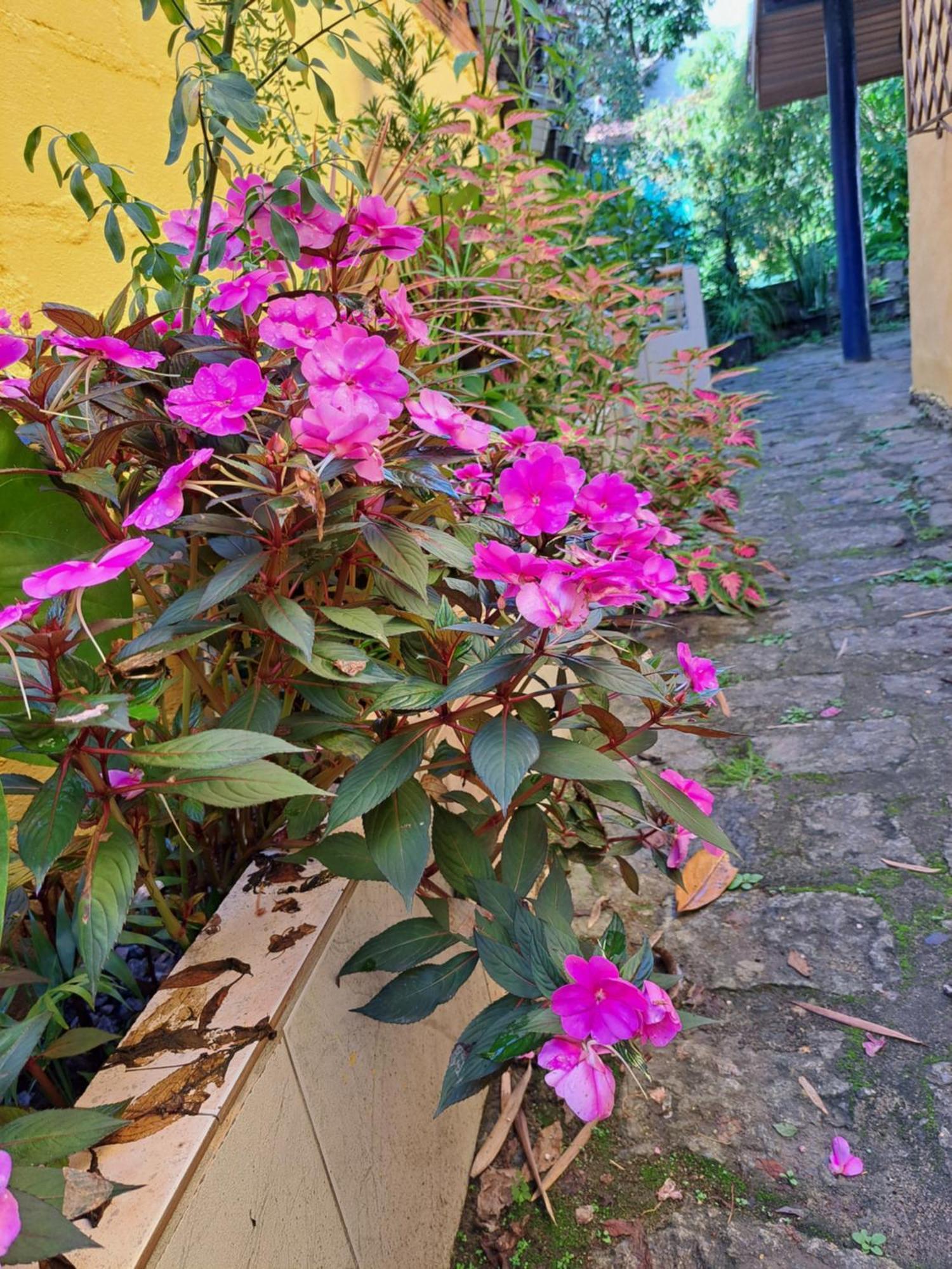 Casa Ilhabela Entre A Praia Grande & Juliao Kamer foto